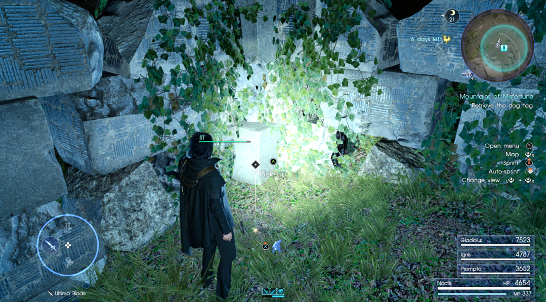 Mountains of Misfortune Dog Tag